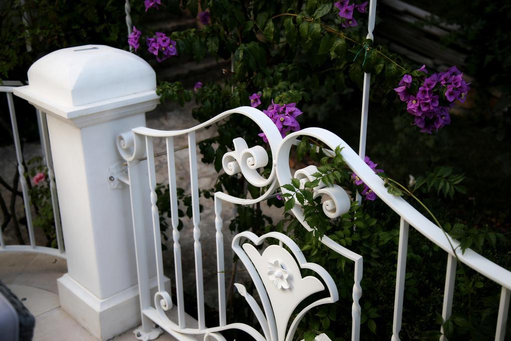 Villa Angelina Selva Di Fasano Eksteriør billede